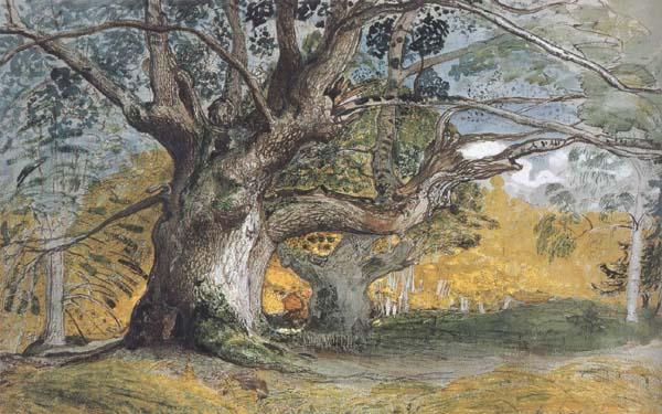 Samuel Palmer Oak Trees,Lullingstone Park Sweden oil painting art